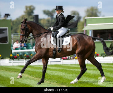 Stamford,  UK. 3rd September, 2015. Rosalind Canter (GBR) and Allstar B [#24] during the dressage phase on the first day of competition. The Land Rover Burghley Horse Trials 2015 Credit:  Stephen Bartholomew/Alamy Live News Stock Photo