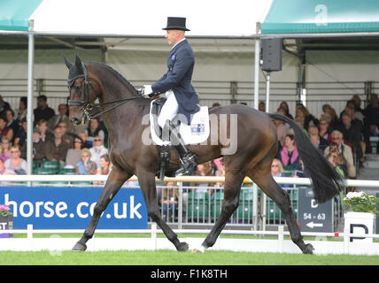 Stamford, UK. 3rd September, 2015. Land Rover Burghley Horse Trials 2015, Stamford England. Andrew Hoy (AUS) ridingÊRutherglen  during the dressage phase (day 1 of 2) Credit:  Julie Priestley/Alamy Live News Stock Photo