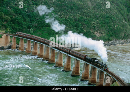 Train Crossing Bridge, Kaaimans River, Western Cape, South Africa Stock Photo