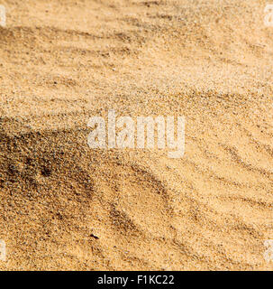 cracked sand in morocco africa desert abstract macro Stock Photo