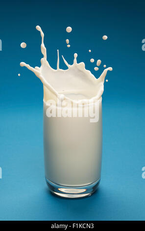 Splash of milk in the glass with separated drops. Blue background. Stock Photo