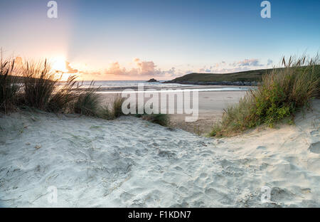 Sunset through the sand dunes at Crantock beach near Newquay in Cornwall Stock Photo