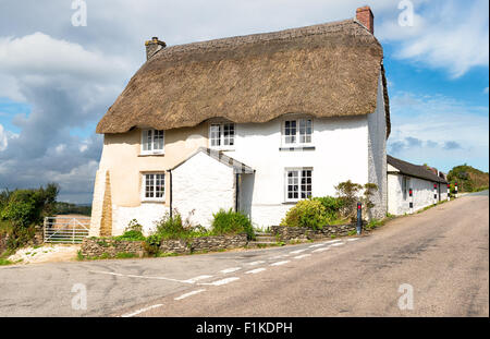 A traditional thatched cottage on the Roseland Peninsula in Cornwall Stock Photo