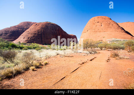 The Olgas near the Valley of the Winds walk in the Northern Territory, Australia Stock Photo