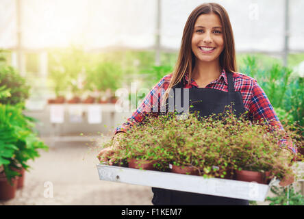 Smiling woman working in a commercial nursery selling plants to the public standing holding a tray of potted houseplants in her Stock Photo