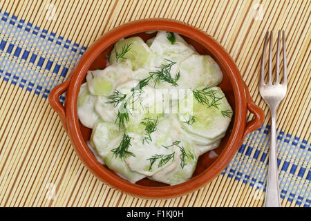 Cucumber salad with sour cream, dill and paprika Stock Photo