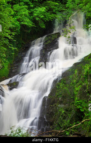 Torc Waterfalls, Killarney National Park, County Kerry, Republic of Ireland Stock Photo