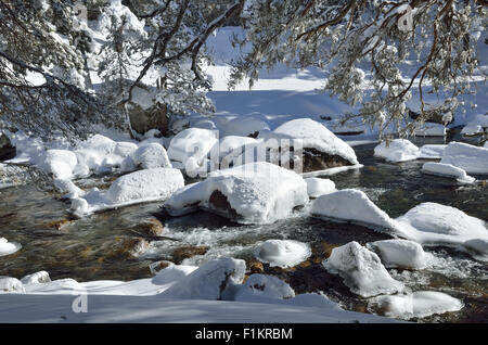 Non-freezing river in the winter mountain Stock Photo