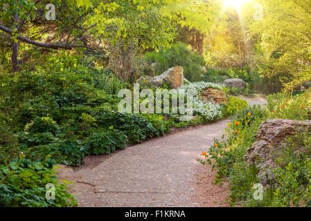 Sunny Summer Garden. Beautiful Garden Walking Path. Gardening in Summer. Stock Photo