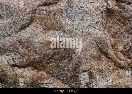 Texture of skin of a big old granite stone abstract real background. Stock Photo