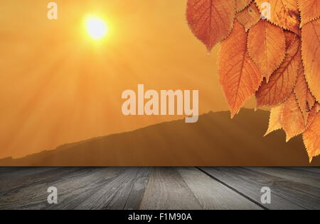 nature autumn backdrop with wood table under cherry tree Stock Photo