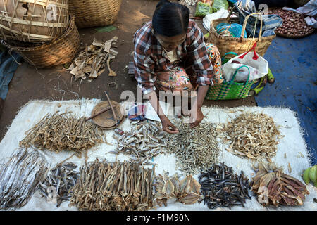 Market, vegetable market, indigenous woman selling dried fish, Mandalay Division, Bagan, Mandalay Division, Myanmar Stock Photo