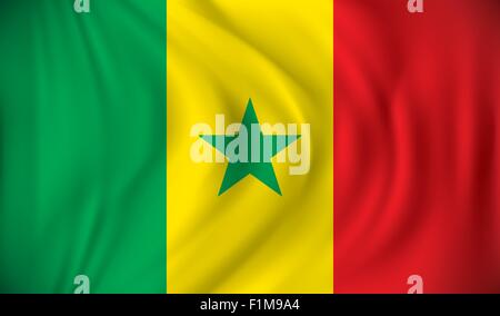 Flag of Senegal - vector illustration Stock Vector