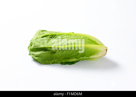 head of romaine lettuce on white background Stock Photo
