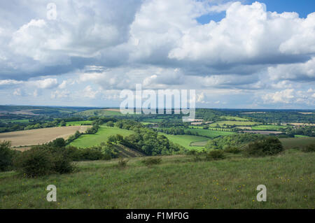 View from Butser Hill in the South Downs National Park looking North West towards East Meon Stock Photo