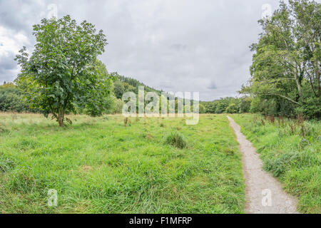 Fisheye landscape - municipal park area Lostwithiel. Stay on the right path metaphor, path into the distance. Stock Photo