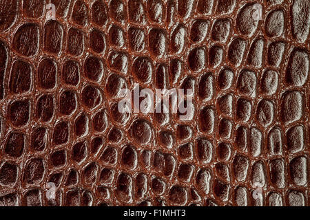 Background snake skin. Stock Photo