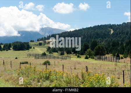 Typical landscape near Coll de la Quillana on the Capçir plateau of the Pyrenees, southern France Stock Photo