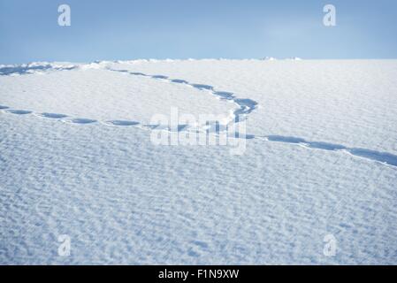 Footprints in the Fresh Snow. Snowy Hill. Stock Photo