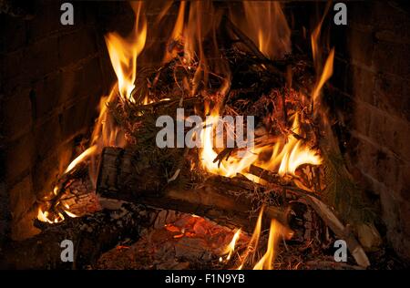 Fire in Fireplace Closeup. Burning Wood Logs and Spruce Branches. Stock Photo