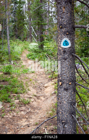 Rand, Colorado - The Continental Divide Trail at Willow Creek Pass in the Rabbit Ears mountain range. Stock Photo