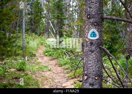 Rand, Colorado - The Continental Divide Trail at Willow Creek Pass in the Rabbit Ears mountain range. Stock Photo