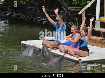 Participants in the dolphin trainer program at the Dolphin Research Center in Grassy Key Florida USA Stock Photo