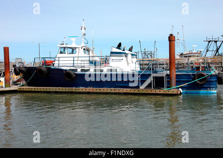 Fishing boats moored at a pier in Astoria Oregon. Stock Photo