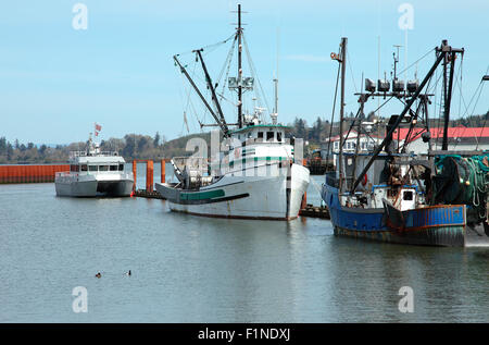 Fishing boats and an aluminum passenger boat docked in a marina, AStoria Oregon. Stock Photo