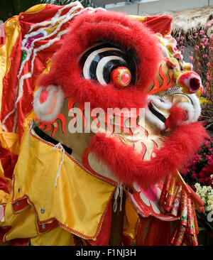 Chinese dragon costume head Stock Photo - Alamy