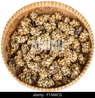 Ttray of civet cat poo containing digested coffee beans isolated on white. Once roasted, the coffee - known as Kopi Luwak - fetc Stock Photo