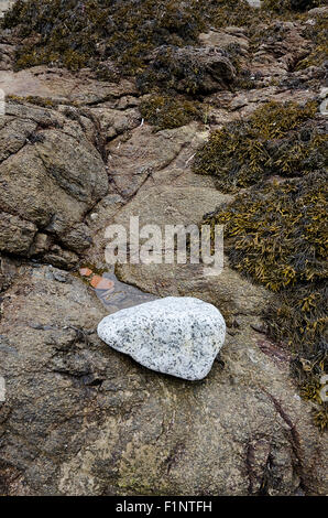 isolated white granite rock on dark shoreline granite