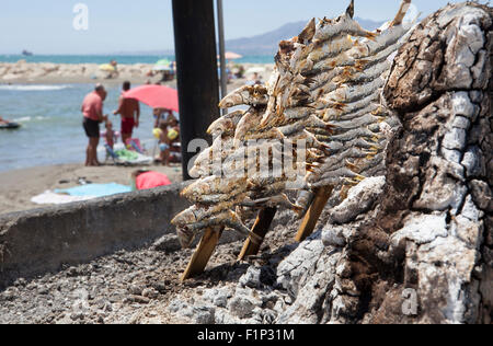 Espetos preparation. Espetos are skewer with sardines in a fire typical for the Costa del Sol, Malaga, Spain Stock Photo