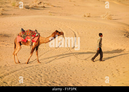 Rajasthani man with camel walking in the desert to find customers for camel safari in Khuri, Jaisalmer, Rajasthan, India Stock Photo