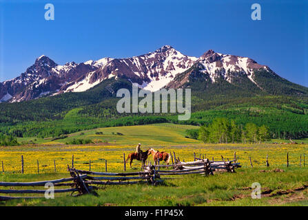 Cowboy on Ranch in Colorado Rockies, Telluride, Colorado, USA Stock Photo