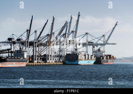 Cranes, Deltaport container terminal, Roberts Bank, British Columbia Stock Photo
