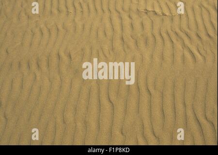 Beach Sand Background - Sandy Texture. Ocean Beach Background. Stock Photo
