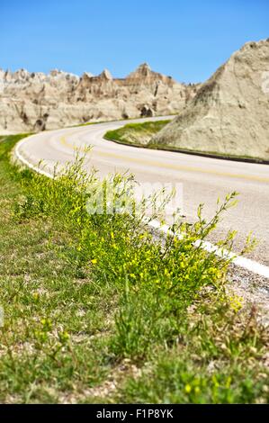 Badlands Wildflowers on a Edge or Badlands Loop Road. Badlands Photo Collection. South Dakota, USA. Stock Photo