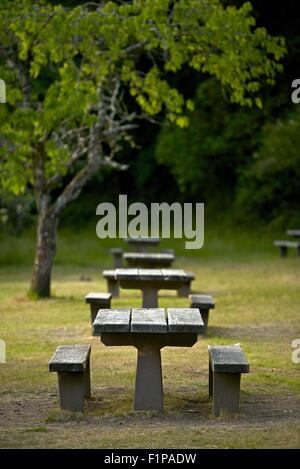 Picnic site with wooden table and benches in forest Stock Photo - Alamy
