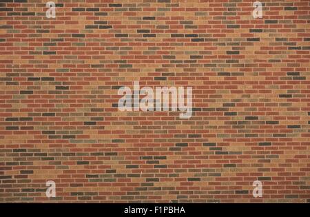Bricks Wall Background - Colorful Wall Bricks Texture Stock Photo