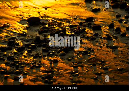 Golden Beach - Black Beach Rocks and Golden Sunset Sand. Nature Photo Background. Stock Photo