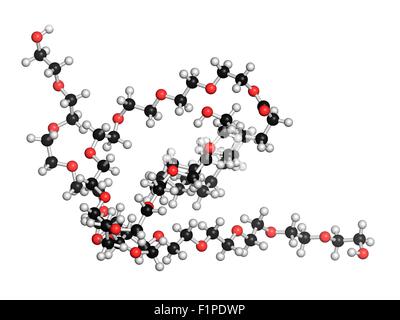 Polysorbate 80 molecule. Polysorbate is nonionic surfactant and emulsifier.  Structural chemical formula and molecule model. Vector illustration Stock  Vector Image & Art - Alamy