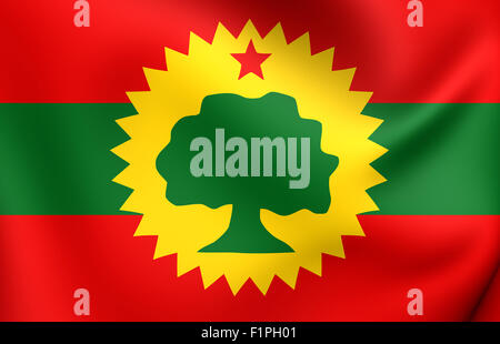 Flag of Oromo Liberation Front Stock Photo - Alamy