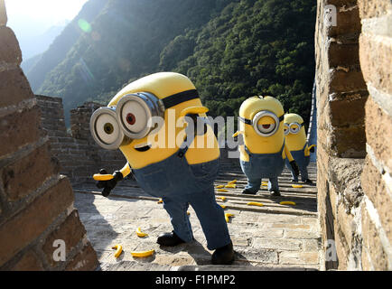 Beijing, China. 29th Aug, 2015. Minions pick up bananas on the Great Wall in Beijing, capital of China, Aug. 29, 2015. The three leading characters in the 3D animation movie 'Minions' Stuart, Kevin and Bob got on the Great Wall to say hi to the Chinese audience on Aug. 29, which also opened their promotion travel in China. The movie will be released in China on Sept. 13. © Jin Liangkuai/Xinhua/Alamy Live News Stock Photo