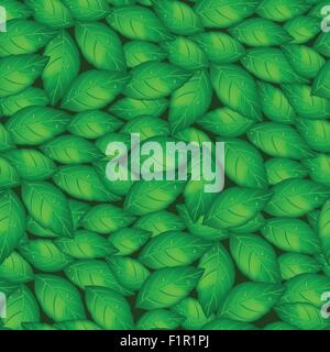 Green basil leaves in a seamless pattern . Stock Vector
