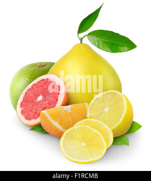 Beautiful citrus fruits isolated on white Stock Photo