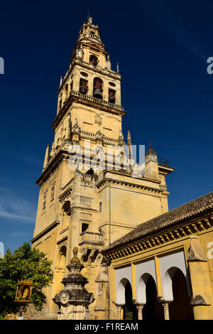 Bell tower of the Cordoba Cathedral of Our Lady of the Assumption from the Court of Oranges Stock Photo