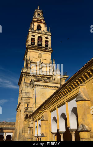 Bell tower with Saint Raphael previously minaret of the Cordoba Cathedral Mosque from the Court of Oranges Stock Photo