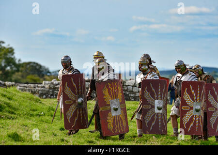 Hadrian's Wall, Cumbria, UK. Around 130 Roman re-enactors from across Italy who form Legio I italica fight the Celts and Barbari Stock Photo