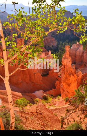 View of Queen's Garden from Navajo Loop Trail below Sunset Point in Bryce Canyon National Park in Southwestern Utah Stock Photo